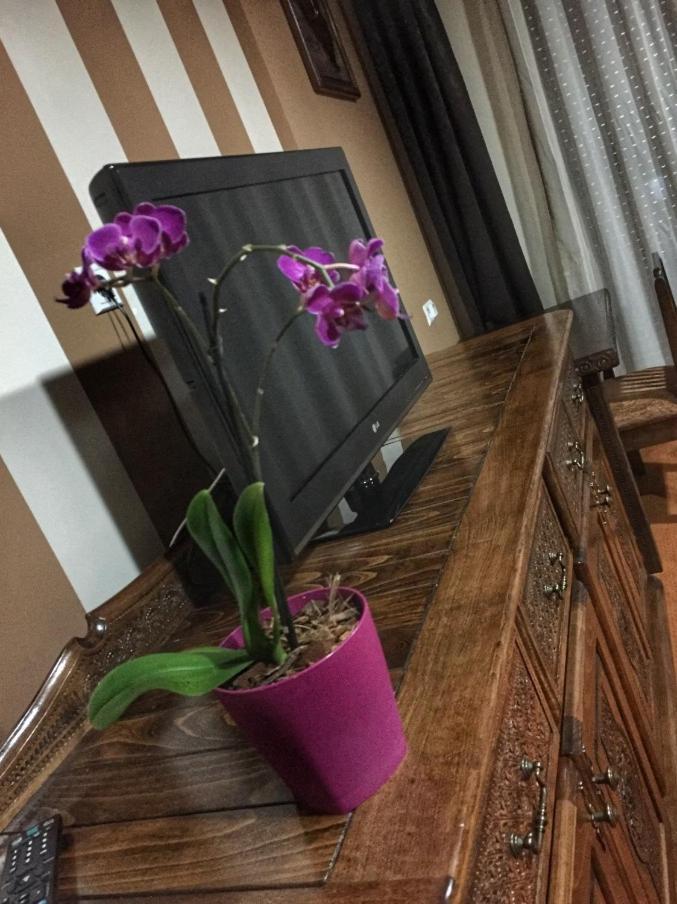 Hotel Oaza 코니츠 외부 사진